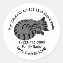 Verloren grijze tablet Kitten Familie Adres