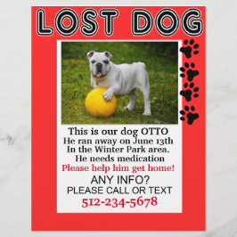 Verloren Hond Flyer Help Hem Thuis Te Komen Berich