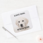 Verloren hond vierkante sticker (Envelop)