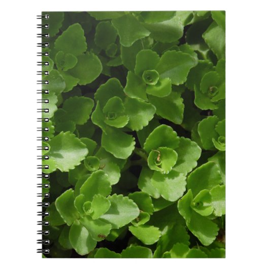 Verloren in bladeren notitieboek (Voorkant)