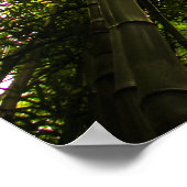 Verloren in de bamboe poster (Hoek)