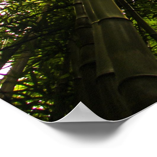 Verloren in de bamboe poster (Hoek)