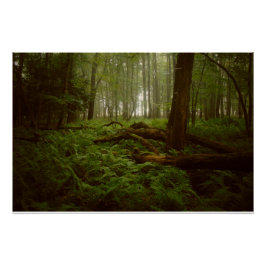 Verloren in de Bossen Perfect Poster