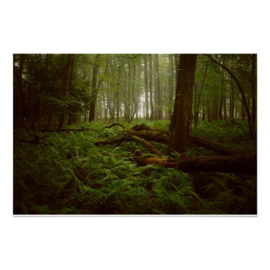 Verloren in de Bossen Perfect Poster (Voorkant)