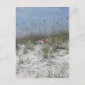 Verloren in de Dunes Briefkaart (Voorkant)