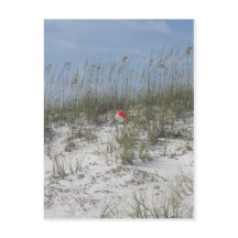 Verloren in de Dunes