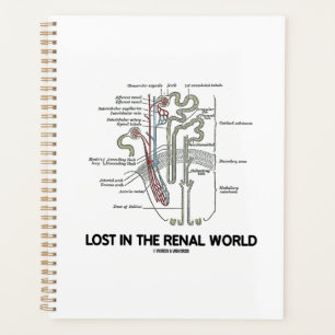 Verloren in de renale wereld planner