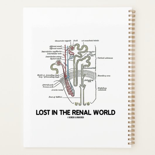 Verloren in de renale wereld planner (Achterkant)
