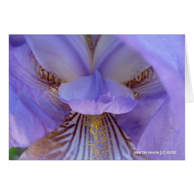 Verloren in een droom (Voorkant Horizontaal)