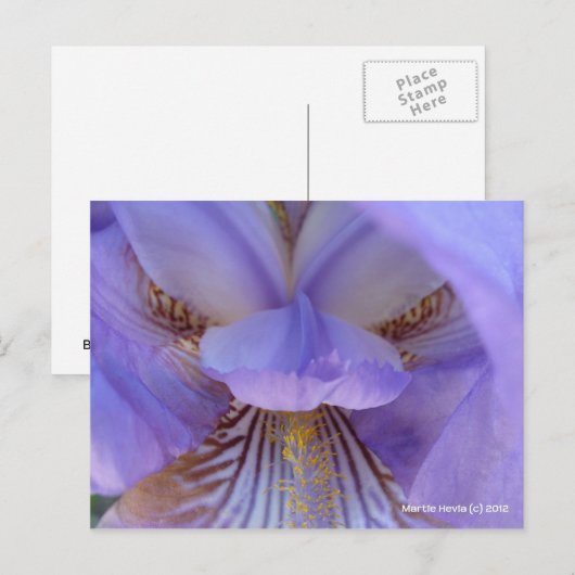 Verloren in een droom briefkaart (Voorkant / Achterkant)