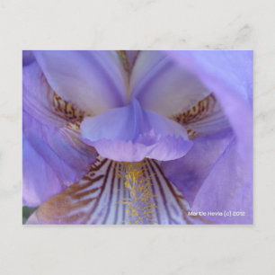 Verloren in een droom briefkaart