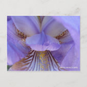 Verloren in een droom briefkaart (Voorkant)