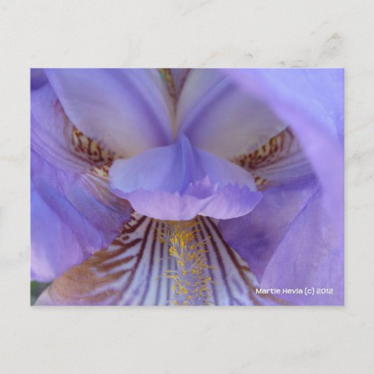 Verloren in een droom briefkaart (Voorkant)