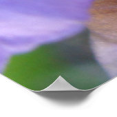 Verloren in een droom poster (Hoek)