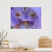 Verloren in een droom poster (Keuken)