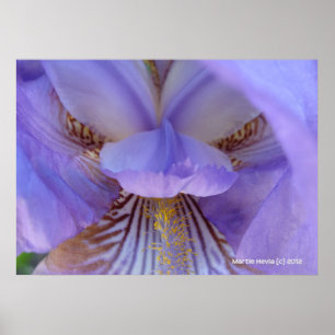 Verloren in een droom poster