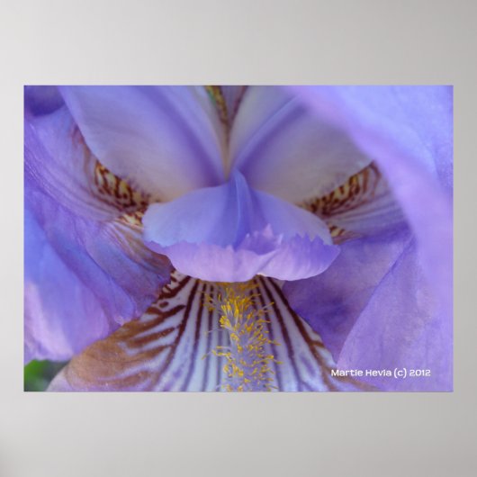 Verloren in een droom poster (Voorkant)