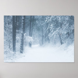 Verloren in een magisch bos poster