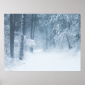 Verloren in een magisch bos poster (Voorkant)