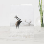 "Verloren in het Storm" Kaart (Voorkant)