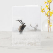 "Verloren in het Storm" Kaart (Gele Bloem)