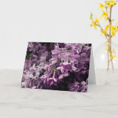 Verloren in Lila Kaart (Gele Bloem)