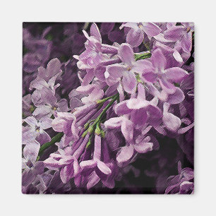 Verloren in Lila Magneet