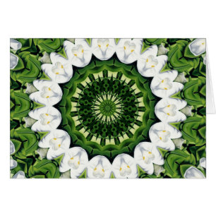 Verloren in Paradijs