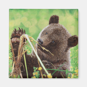 Verloren in Wonder Magneet