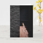 Verloren kat in donkere steeg denken aan je kaart (Gele Bloem)