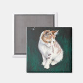 Verloren kattenmagneet magneet (Voorkant / Achterkant)