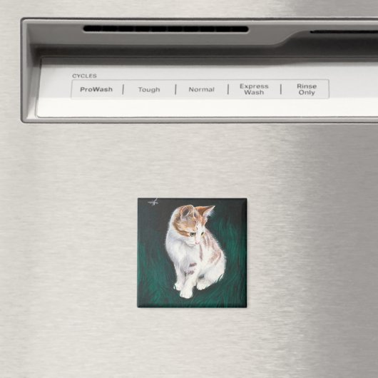 Verloren kattenmagneet magneet (Insitu (Vaatwasser))