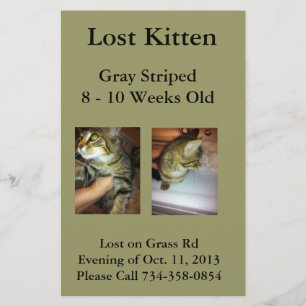 Verloren Kitten Flyer
