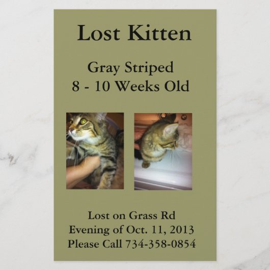 Verloren Kitten Flyer (Voorkant)