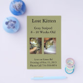 Verloren Kitten Flyer (Enkel)