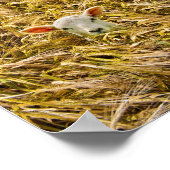 verloren lampje poster (Hoek)