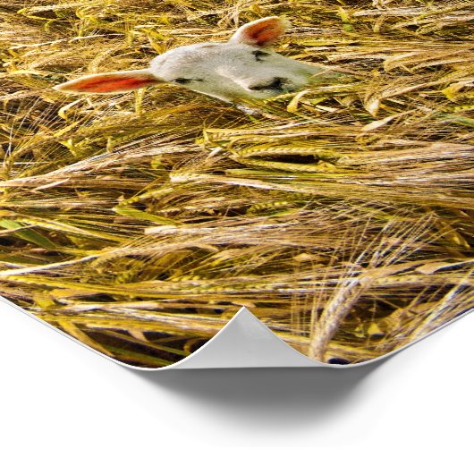 verloren lampje poster (Hoek)