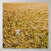 verloren lampje poster (Voorkant)