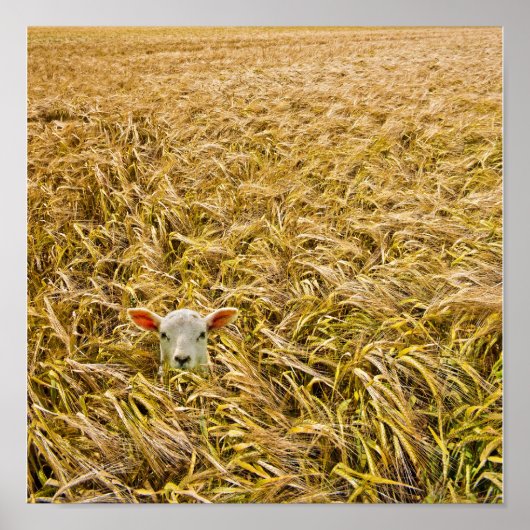 verloren lampje poster (Voorkant)