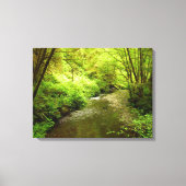 Verloren Man Creek I in Redwood National Park Canvas Afdruk (Voorkant)
