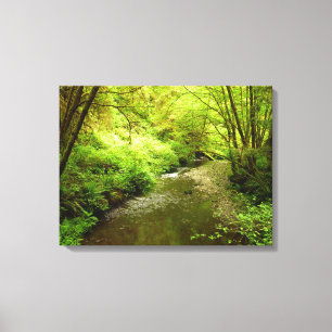 Verloren Man Creek I in Redwood National Park Canvas Afdruk