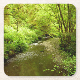 Verloren Man Creek I in Redwood National Park Kartonnen Onderzetters
