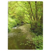 Verloren Man Creek I in Redwood National Park Klembord (Achterkant)