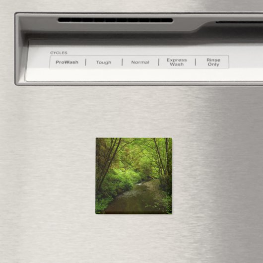 Verloren Man Creek I in Redwood National Park Magneet (Insitu (Vaatwasser))
