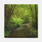 Verloren Man Creek I in Redwood National Park Magneet (Voorkant)