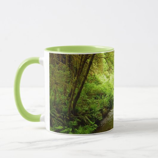 Verloren Man Creek I in Redwood National Park Mok (Links)