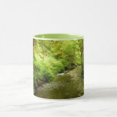 Verloren Man Creek I in Redwood National Park Mok (Midden)