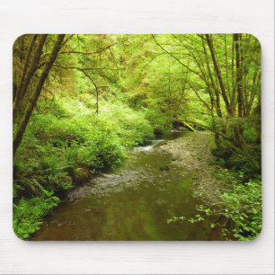 Verloren Man Creek I in Redwood National Park Muismat