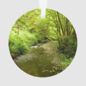Verloren Man Creek I in Redwood National Park Ornament (achterkant)