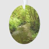 Verloren Man Creek I in Redwood National Park Ornament (voorkant)